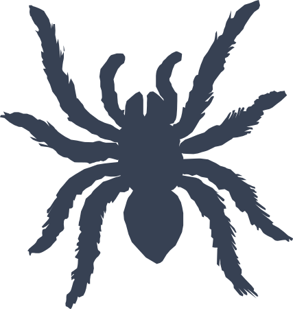 Fuzzy Spider Sticker