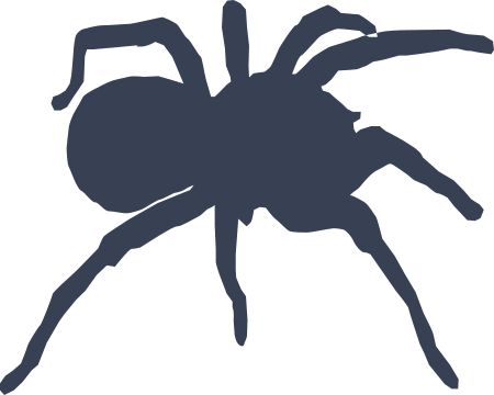 Spider Sticker Decal