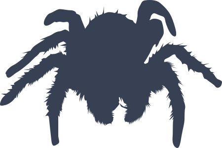 Spider Sticker Decal