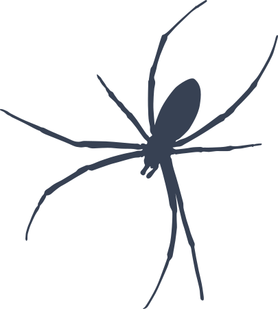 Spider Sticker Decal
