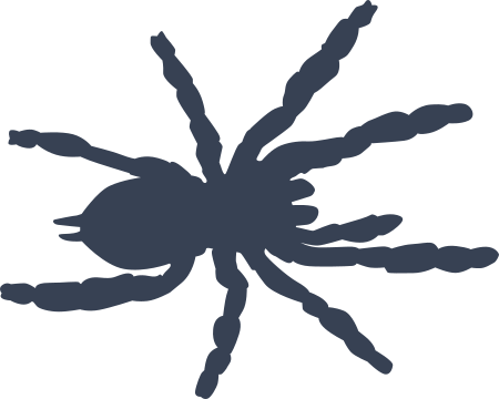 Spider Sticker Decal