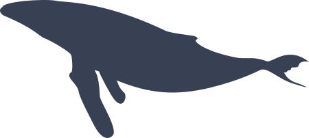 Whale Sticker Decal