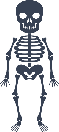Short Skeleton Sticker