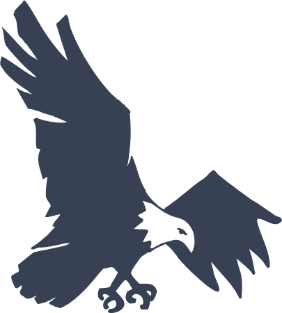 Eagle Bird Decal