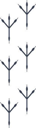 Bird Footprints Decal