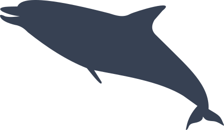 Dolphin Sticker Decal