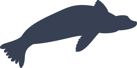 Seal Swimming Sticker