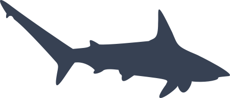 Swiming Shark Sticker