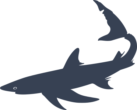 Shark Sticker Decal