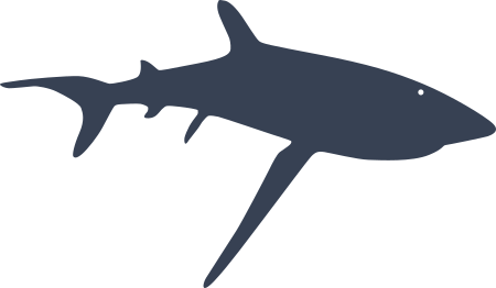 Thin Shark Sticker