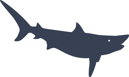 Shark Sticker Decal