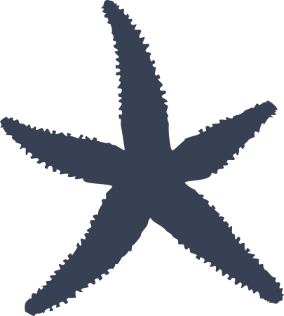 Furry Starfish Sticker