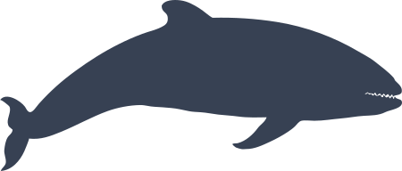 Whale Smiling Sticker