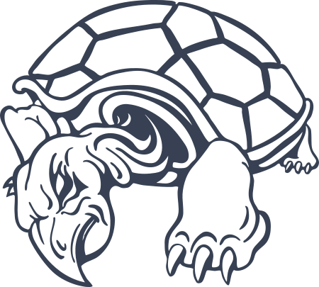 Turtle Sticker Decal