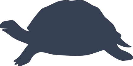 Turtle Sticker Decal