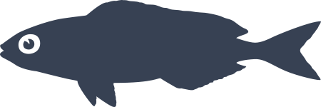 Bogue Fish Sticker Decal