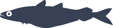 Bakalao Fish Sticker Decal