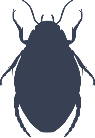 Creepy Beetle Sticker