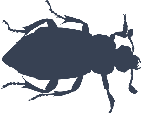 Nasty Beetle Sticker