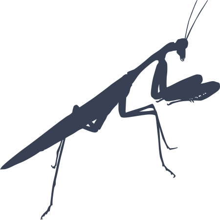 Praying Mantis Sticker