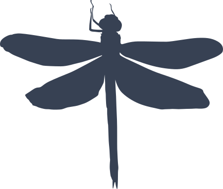 Dragonfly Sticker Decal