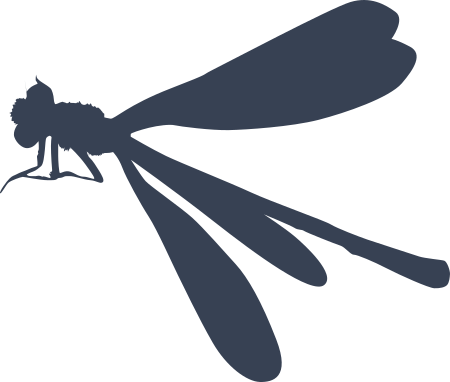 Dragonfly Sticker Decal